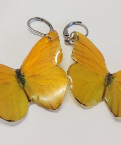 گوشواره پروانه سه بعدی طرح A-001